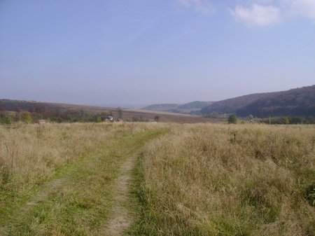 лози 26.10.2008/DSC03739