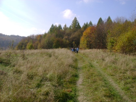 лози 26.10.2008/DSC03741