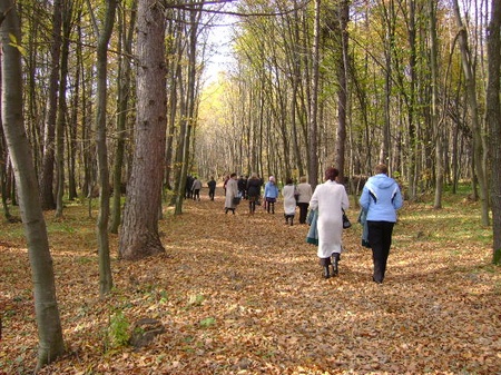 лози 26.10.2008/DSC03743