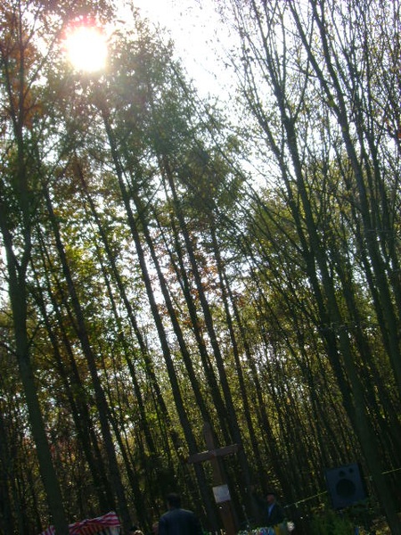 лози 26.10.2008/DSC03746