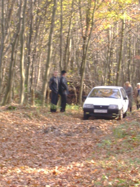 лози 26.10.2008/DSC03756