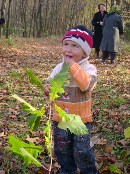лози 26.10.2008/DSC03759