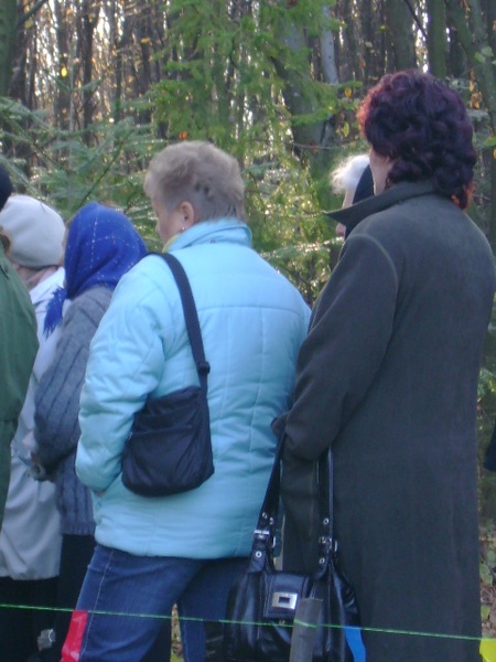 лози 26.10.2008/DSC03935