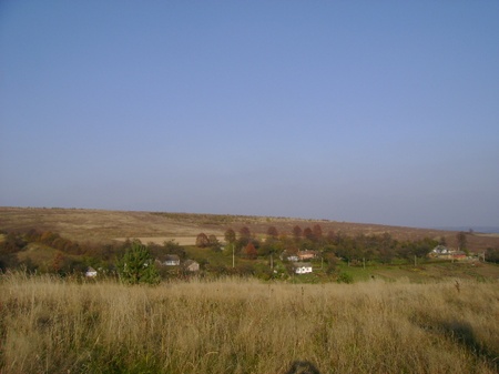 лози 26.10.2008/DSC03952