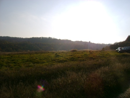 лози 26.10.2008/DSC03954