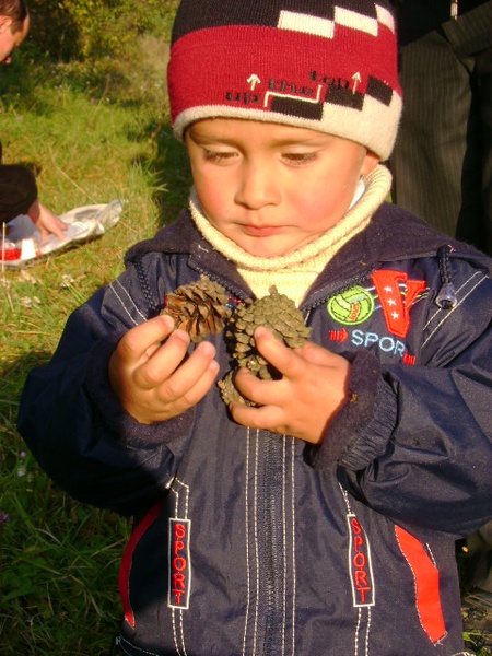 лози 26.10.2008/DSC03959